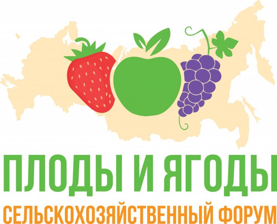   VII        2025,     30-31   !