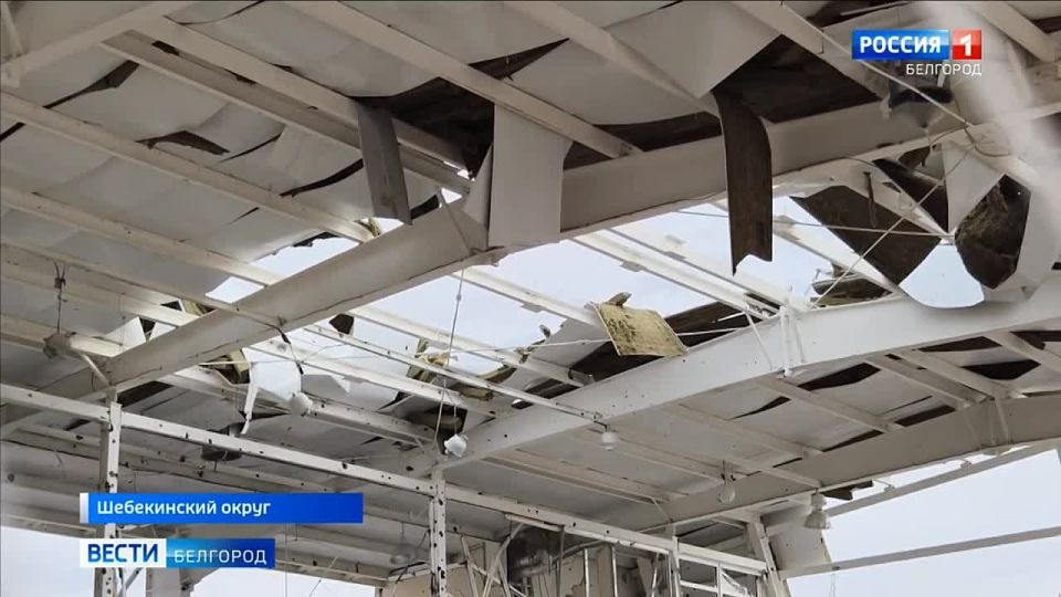 «Балкона нет. Там всё разбито. Но Господь ещё даровал жизнь»