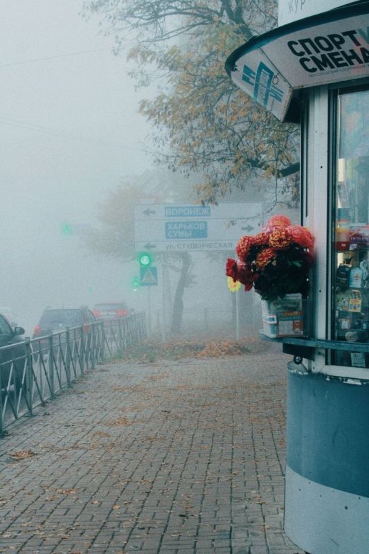Сегодня, 9 октября, в Белгороде будет пасмурно, небольшой дождь