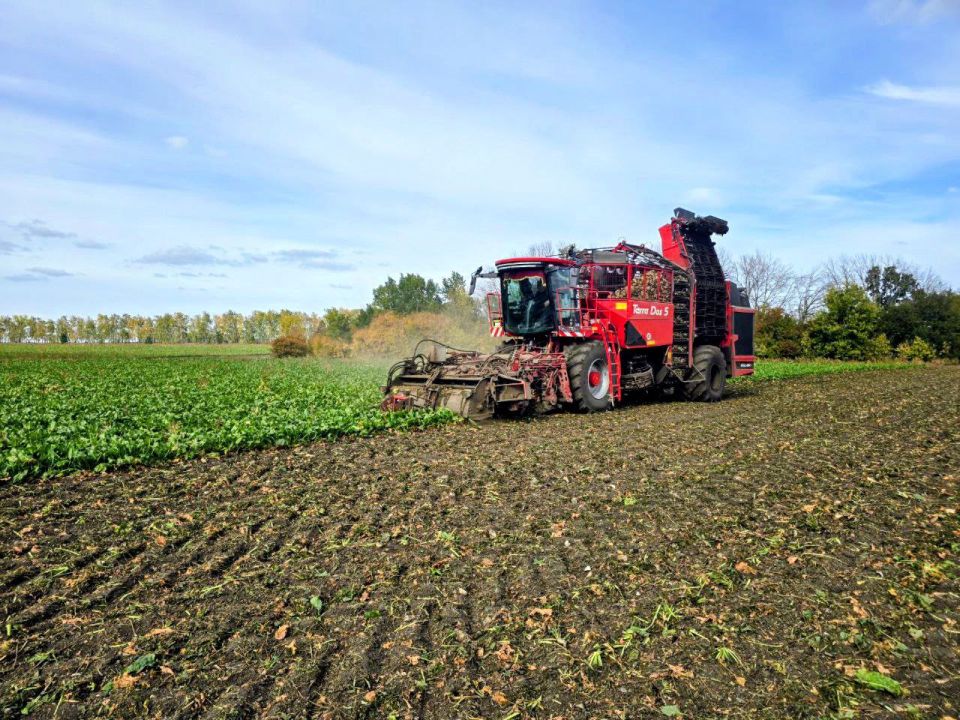 Олег Медведев: К 9 октября аграрии Яковлевского муниципального округа завершили уборку сахарной свеклы
