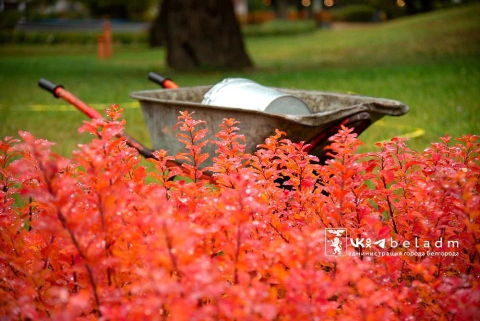 Центральный парк имени Ленина радует посетителей осенними красками