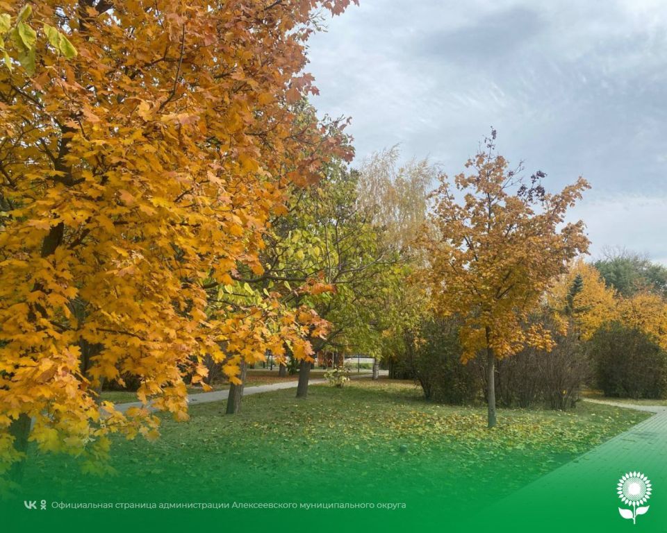 11 октября. Температура воздуха 14°C, облачно, небольшой дождь