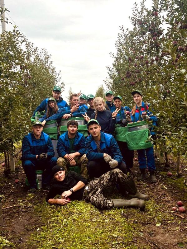 Кто сказал, что студенческие отряды — это только про лето?