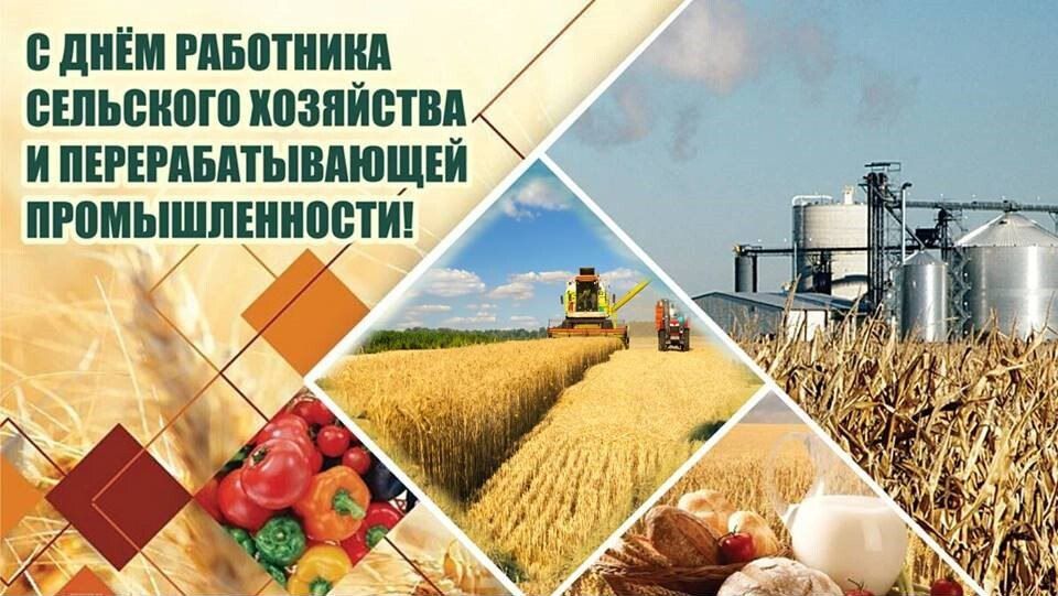 Уважаемые работники сельского хозяйства и перерабатывающей промышленности, дорогие ветераны!