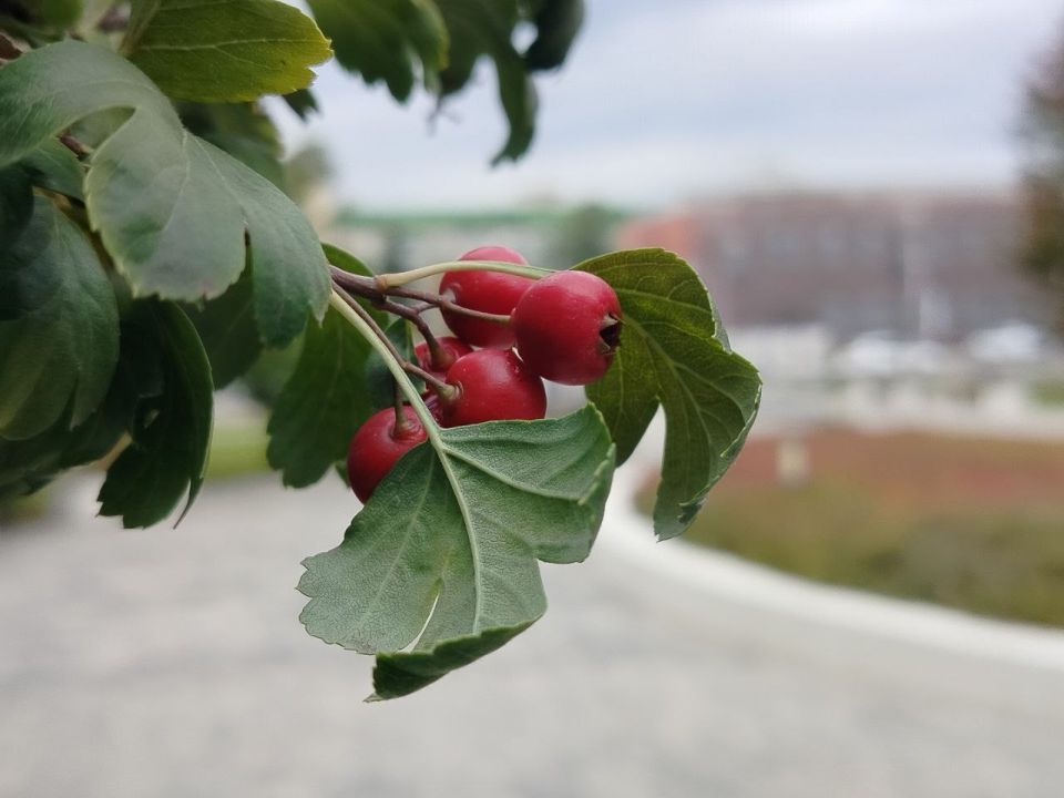 Сегодня, 13 октября, будет облачно с прояснениями
