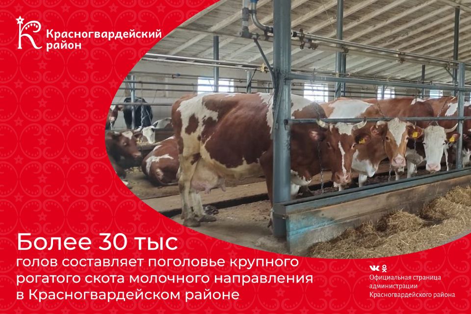 Доброе утро, Красногвардейский район!