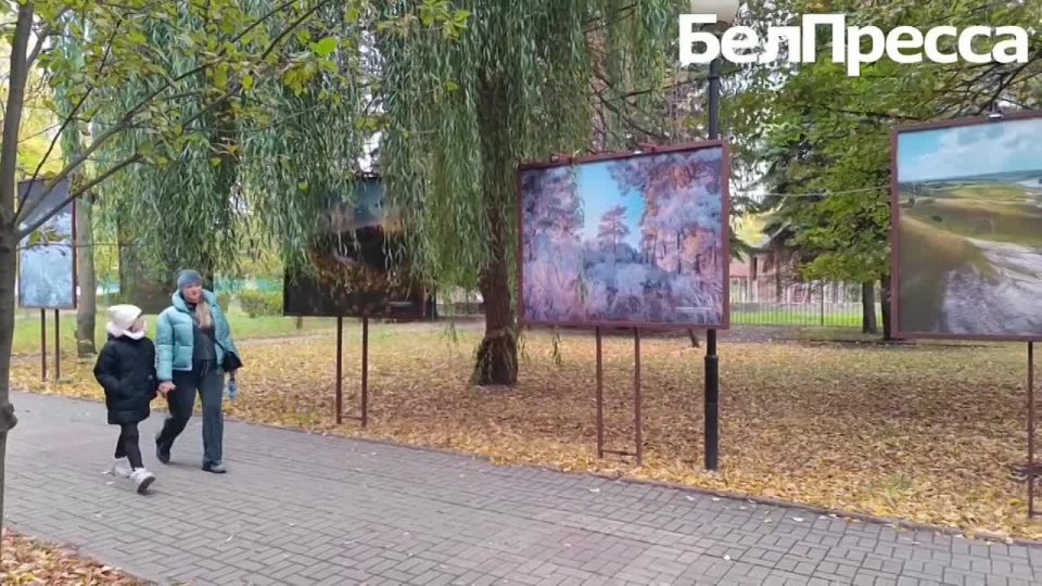 «Волонтёры Победы» подарили прохожим ленты в цветах флага Белгородской области