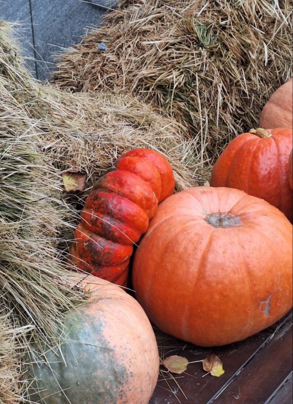 Сегодня, 14 октября, в Белгороде будет слабый дождь
