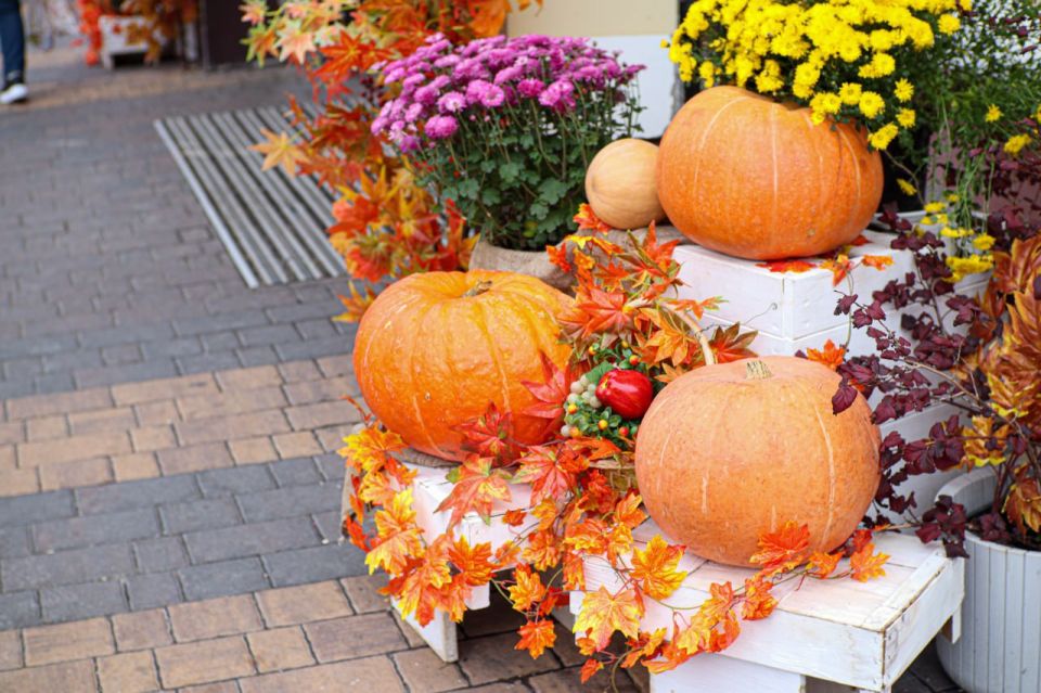 Погода 15 октября. Сегодня в Белгороде облачно, вечером будет небольшой дождь