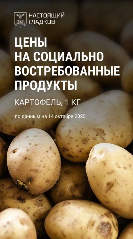 Вячеслав Гладков: Дорогие друзья, как и обещал на заседании правительства, с сегодняшнего дня восстанавливаю еженедельный контроль за ценами на основные группы товаров в разных торговых точках Белгородской области