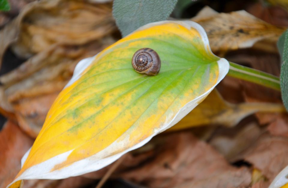Делимся с вами осенними снимками от наших подписчиков
