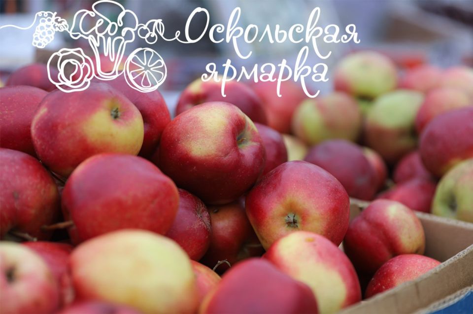 Фермерская ярмарка в Старом Осколе!