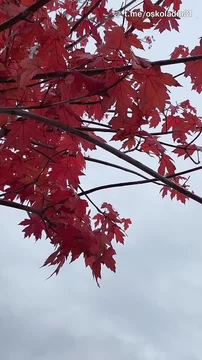 Доброе утро, старооскольцы!