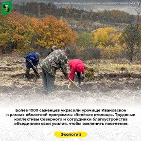  1000          