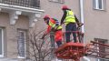 В Белгороде приступили к подготовке к зимнему периоду зелёных насаждений