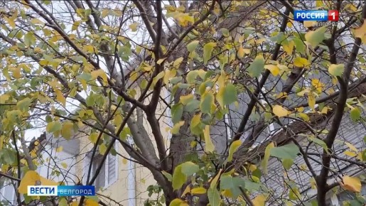 Продолжается ремонт многоквартирного дома в поселке Маслова Пристань