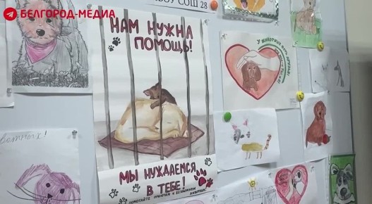 Ученики школы №28 Белгорода посетили Центр помощи бездомным животным