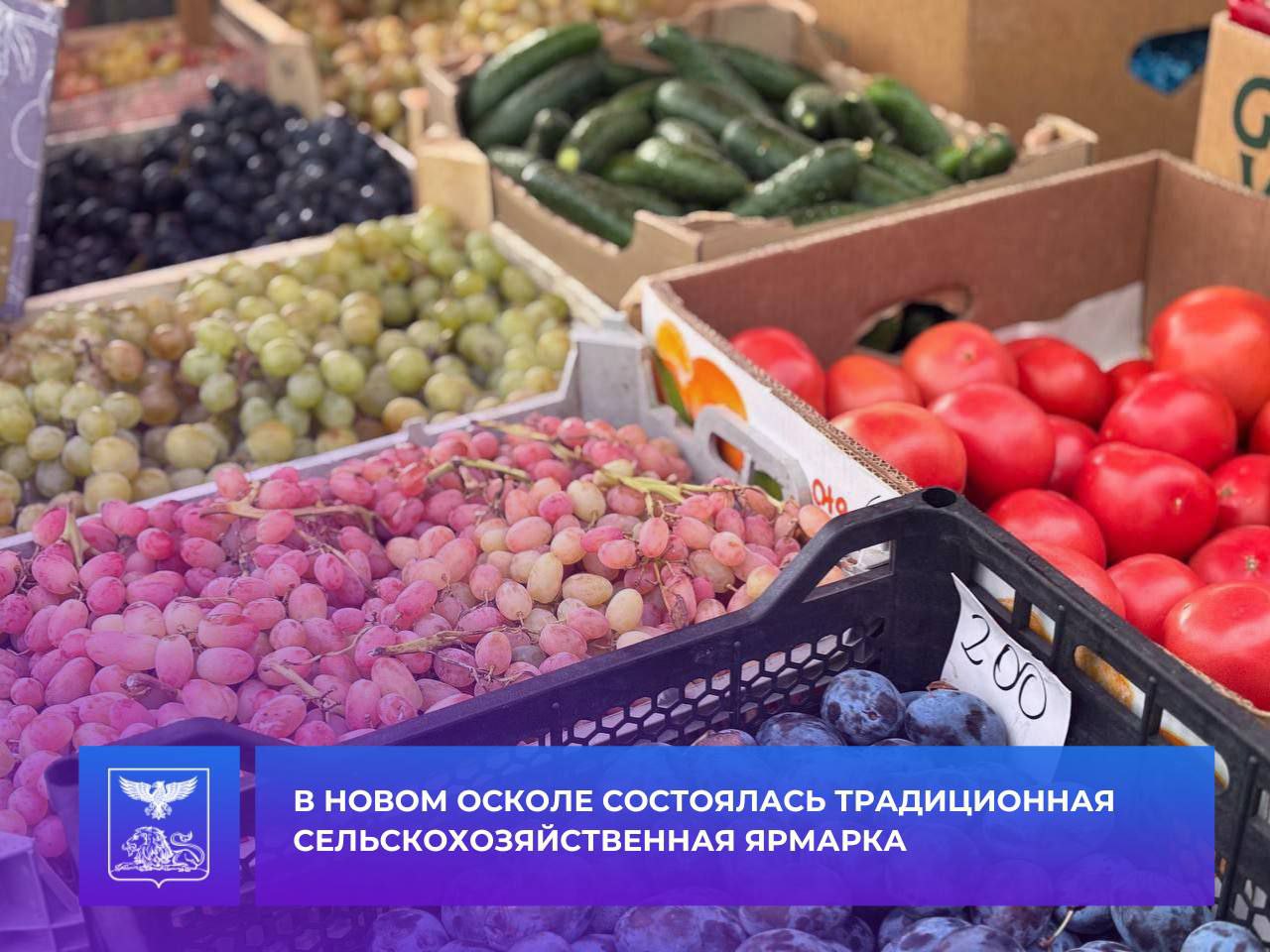 Андрей Миськов: В Новом Осколе продолжается сезон осенних сельскохозяйственных ярмарок, инициированных Губернатором Белгородской области Вячеславом Владимировичем Гладковым