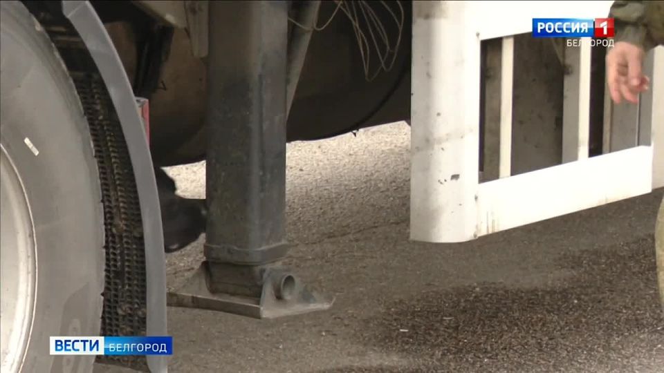 123Белгородская продукция отправляется в Китай