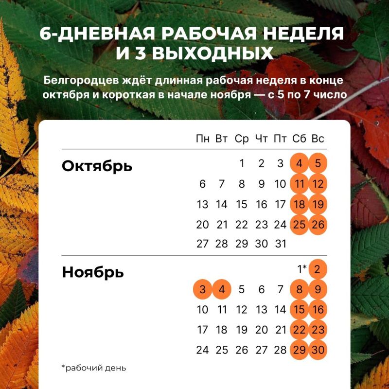 Напоминаем, что суббота 1 ноября — рабочий день