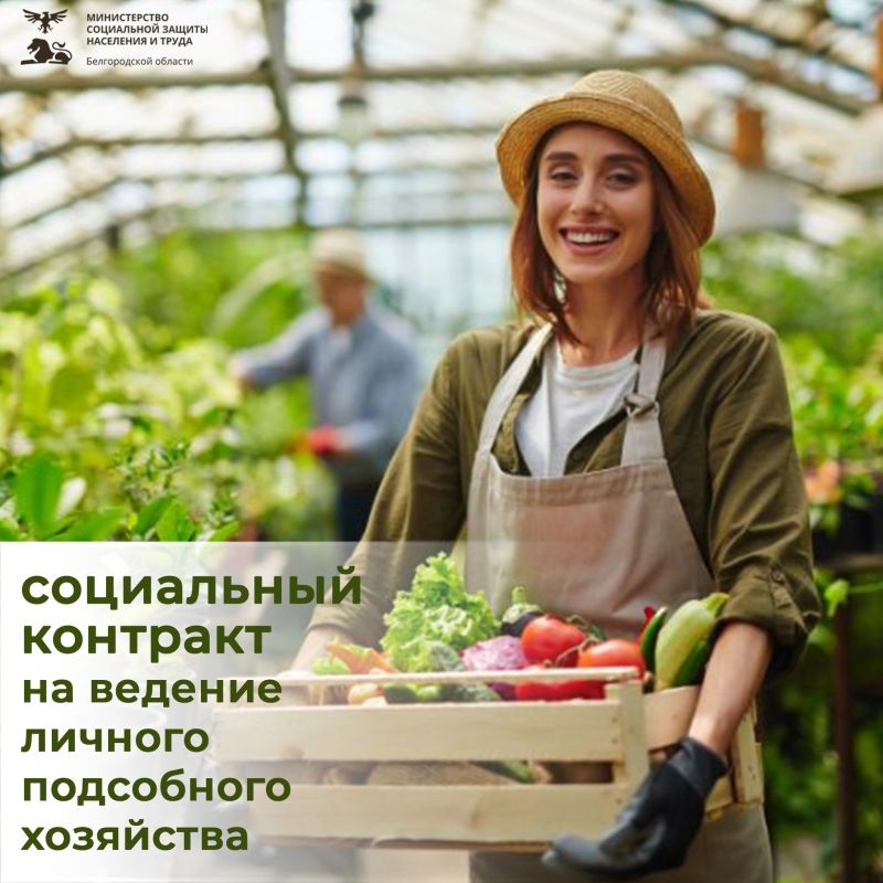 Социальный контракт: твой шанс начать или развить свое личное подсобное хозяйство и обеспечить семью
