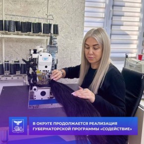 Андрей Миськов: В Новооскольском муниципальном округе  продолжается работа по заключению социальных контрактов в рамках реализации губернаторской программы "Содействие"