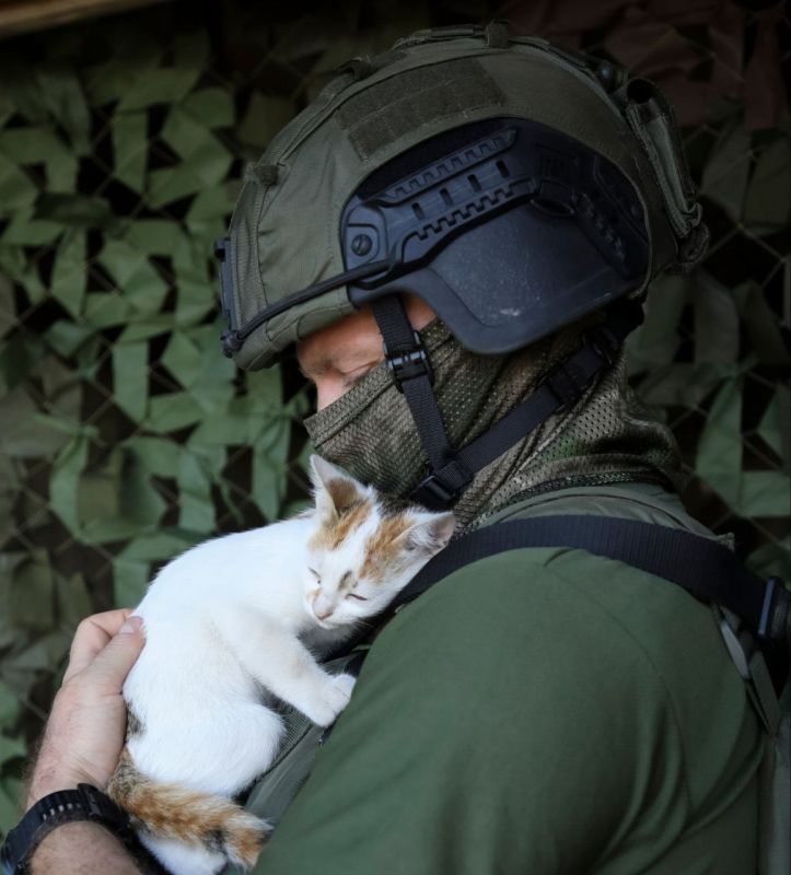 Не просто пушистики, а добродетекторы и спецсредства