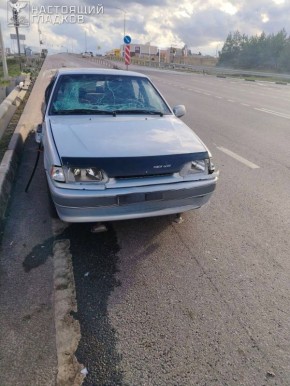 Родион Мирошник: Дрон ВСУ атаковал гражданский автомобиль в Белгородской области