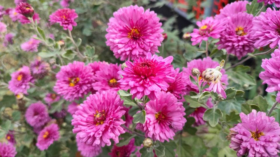 В воскресенье, 26 октября, будет облачно с прояснениями