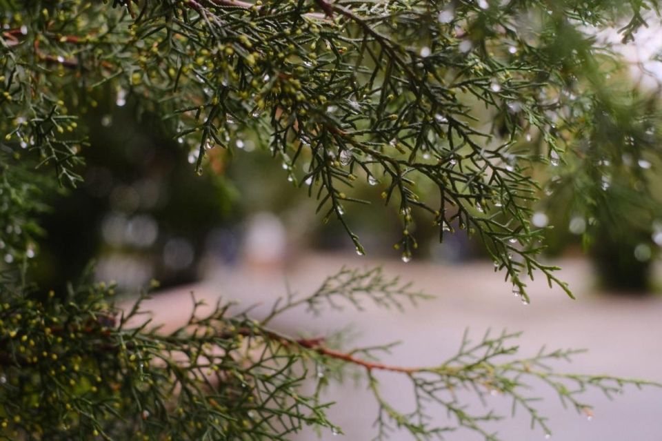 Сегодня, 27 октября, будет облачно