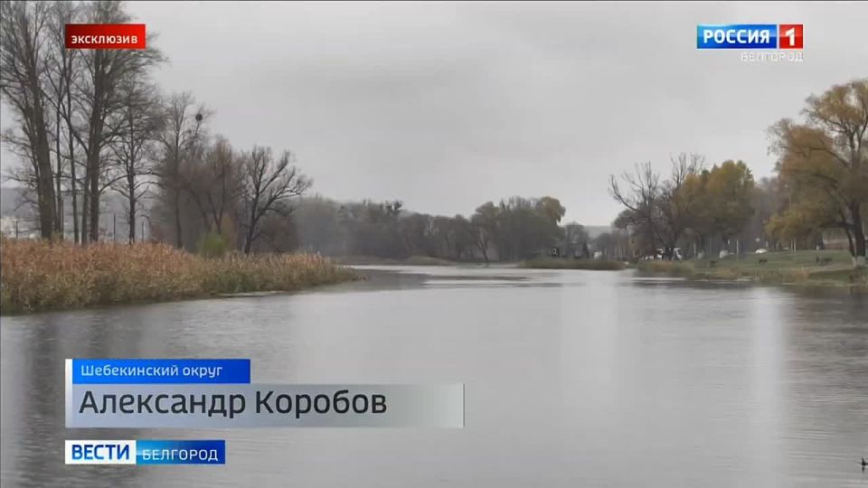 Река зашла на нижние огороды, но до домов здесь достаточно далеко: эта улица в приграничном шебекинском селе находится в опасной зоне