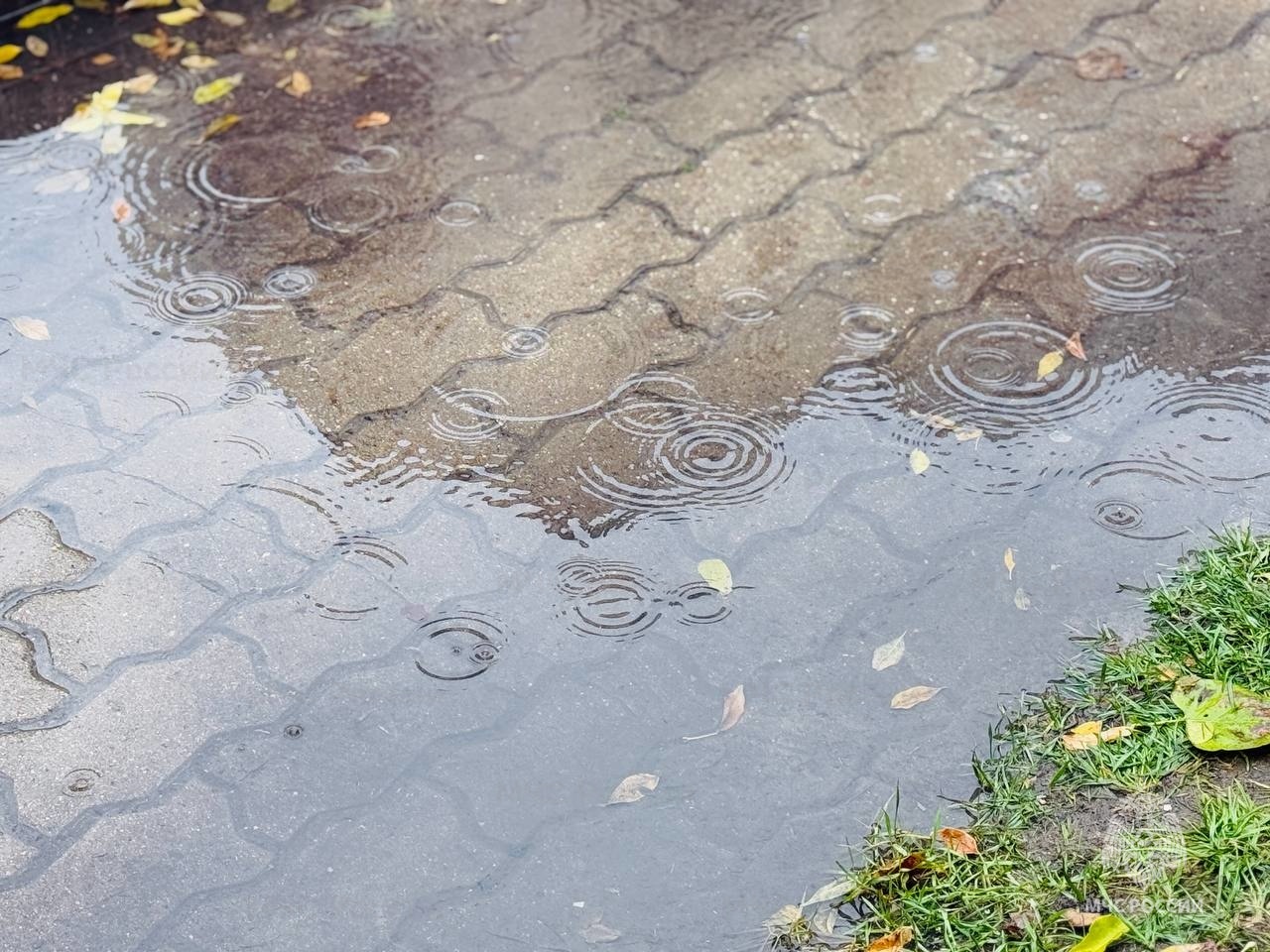 Во вторник в регионе ожидаются небольшие дожди