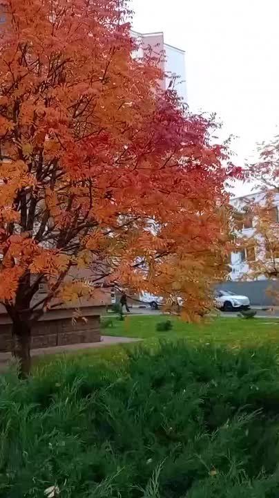 Доброе утро, старооскольцы!