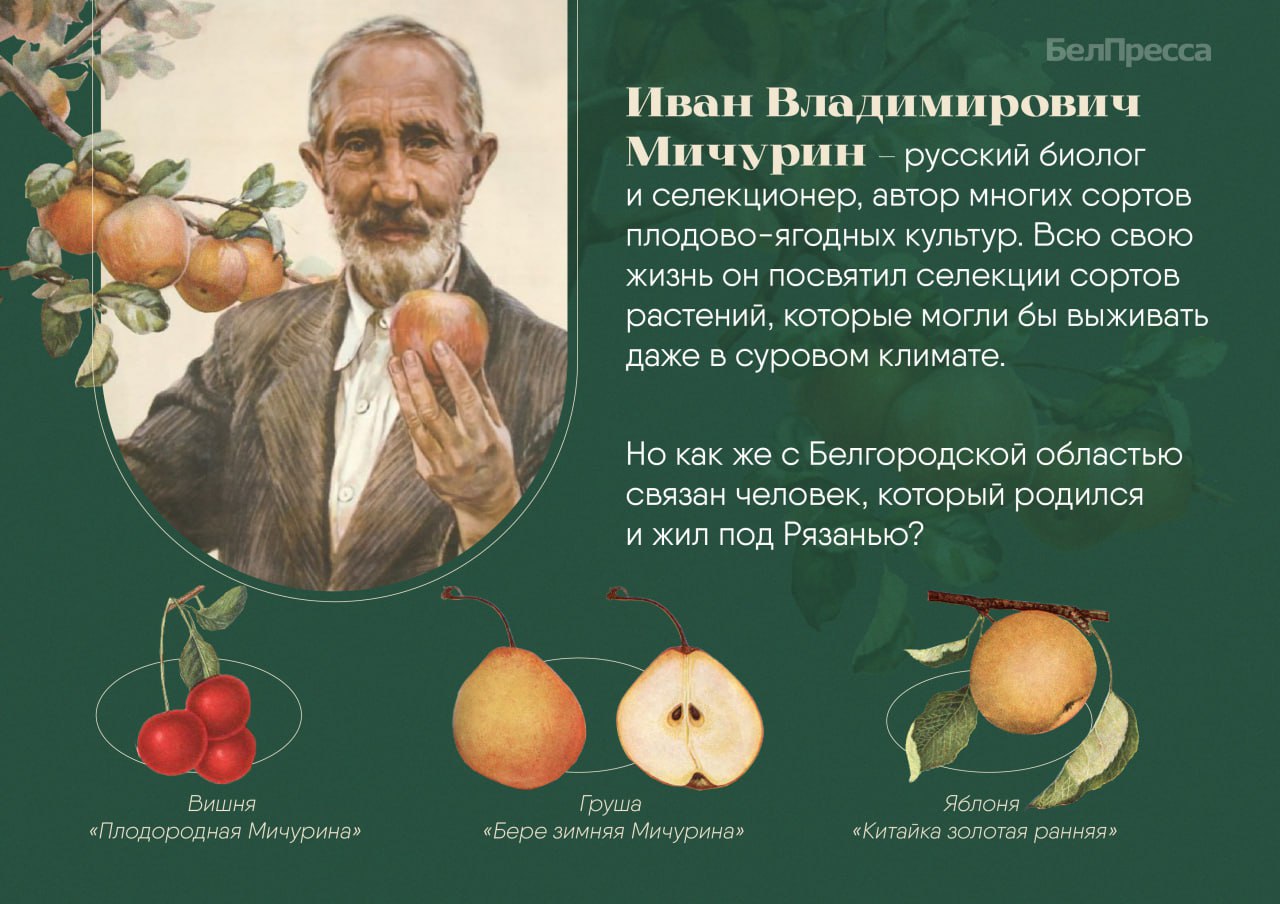 Его фамилию можно встретить на фасадах зданий Белгорода, а его самого – на самокате в парке в центре города