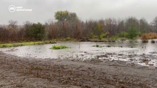 Власти Шебекинского округа: вода остаётся в русле реки
