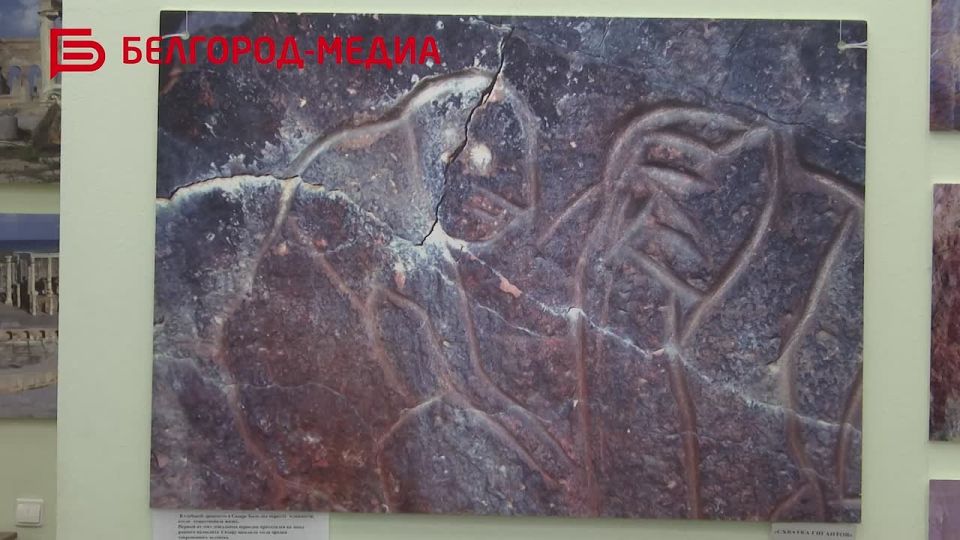 Белгородцы могут ознакомиться с наскальным искусством древних художников Африки