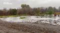 Власти Шебекинского округа: вода остаётся в русле реки