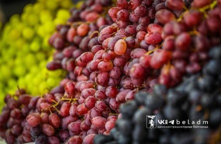 Мэр Белгорода опубликовал список востребованных продуктов по низким ценам