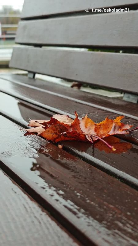 Доброе утро, Старый Оскол!