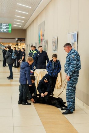В Белгородской области в преддверии Дня сотрудника органов внутренних дел организовали фотовыставку «Открой для себя полицию заново»