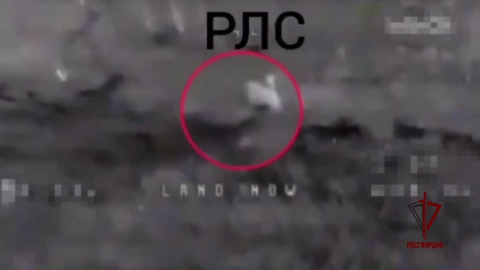 Росгвардейцы уничтожили вражескую РЛС на Харьковском направлении