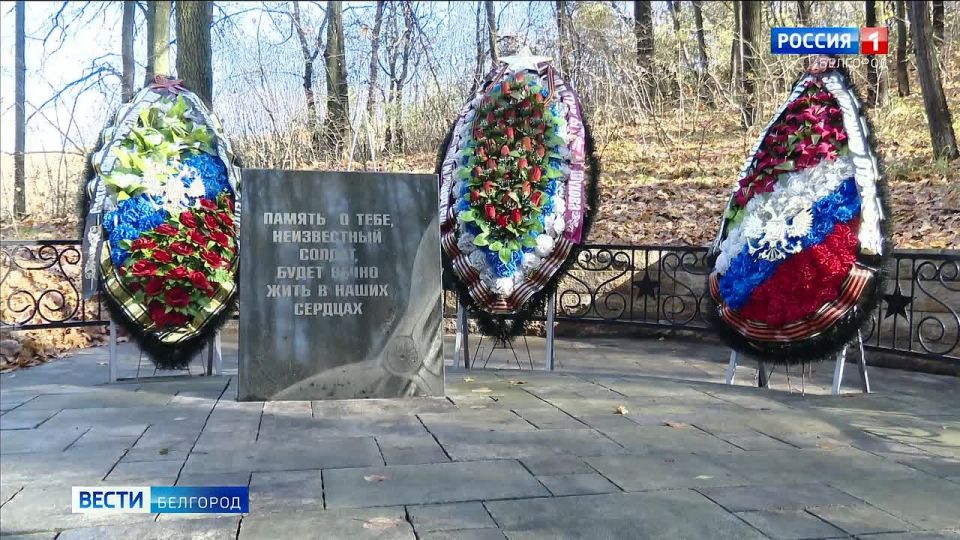 28 октября в России отмечается День создания армейской авиации