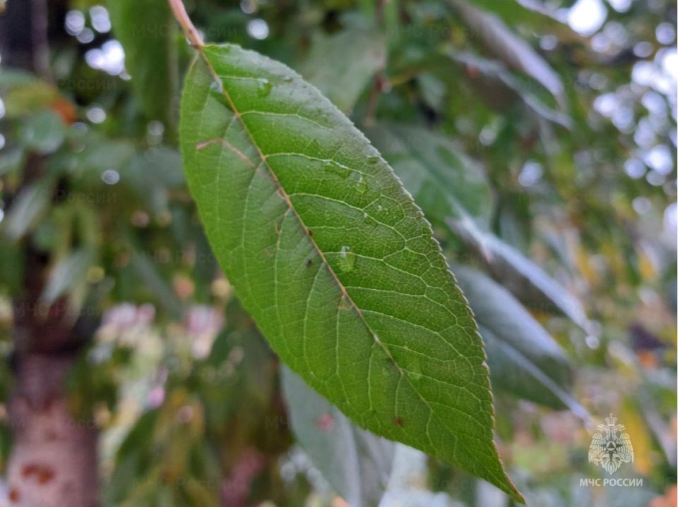 В среду в регионе ожидаются небольшие дожди