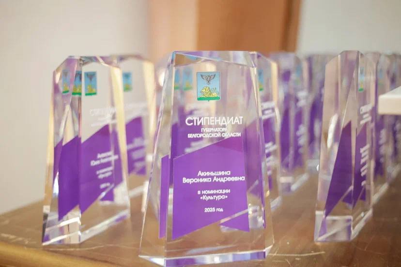 Обучающиеся Пролетарской детской школы искусств Василиса Никонова и София Косенко стали получателями именной стипендии губернатора Белгородской области