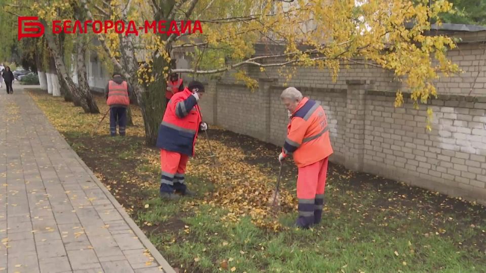 Сотрудники Белгорблагоустройства продолжают заботиться о нашем Белгороде