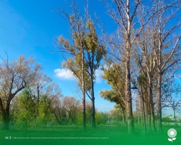 29 октября. Температура воздуха 10°C, малооблачно, без осадков