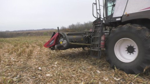 Михаил Лобазнов: Наши аграрии продолжают демонстрировать отличные результаты: уборка кукурузы в округе идет полным ходом