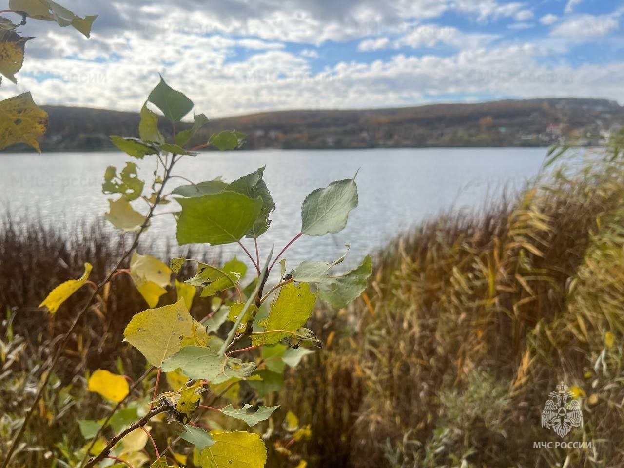 В четверг в регионе будет облачно с прояснениями