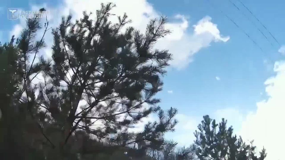 Бойцы ПВО, «Орлана», Министерства обороны и «Барса-Белгород» отражают атаки ВСУ на приграничье и Шебекинский округ