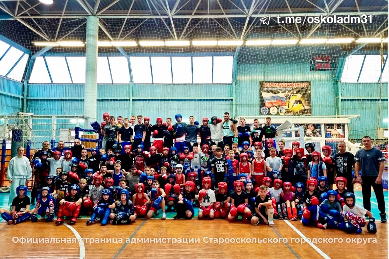 Вместе – к победе!. На базе физкультурно-оздоровительного комплекса Школы олимпийского резерва «Молодость» прошла совместная тренировка кикбоксёров и боксёров из Старого Оскола, Белгорода и Нового Оскола